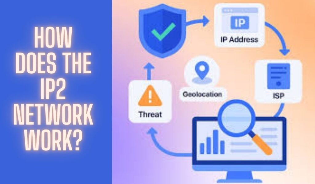 Illustration showing a data flow diagram explaining how the IP2 Network works. The diagram includes icons for IP Address, ISP, Geolocation, Threat detection, and data analytics, connected in a circular flow with arrows. A shield with a checkmark represents security. A magnifying glass over a monitor symbolizes analysis. On the left, bold text reads: "HOW DOES THE IP2 NETWORK WORK?" The background features a gradient of orange and purple tones.